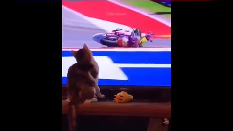 The playful cat knocked down the engine with a gesture