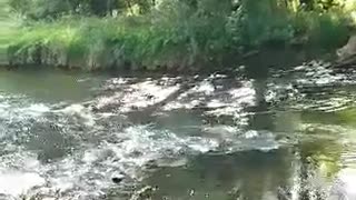 A Flowing Stream