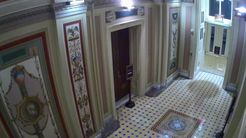 0689USCS01SenateFireDoornearS132_2021-01-04_23h40min01s333ms.mp4