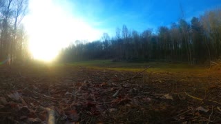 Lg Food Plot Sunrise