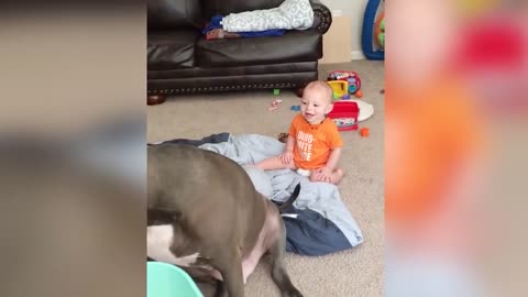 Cute dogs and babies are bestfriends