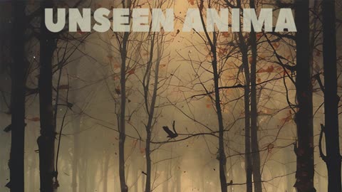 Unseen Anima - Twisted Lines