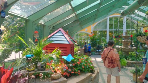 Mackinac Island- Butterfly conservatory