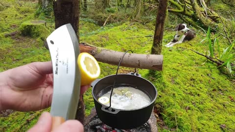 Lemon Crunchy Chicken cooked in the middle of the forest. ASMR cooking. NO TALK