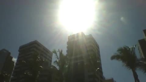 5 coconut trees and 2 buildings get all the summer sun near the beach [Nature & Animals]
