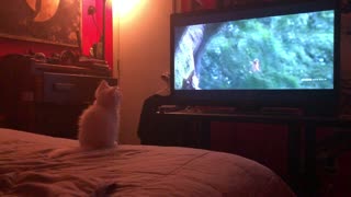 Bones watching tv