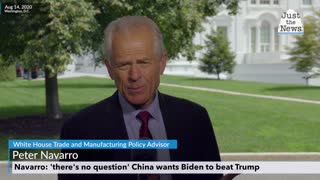 Navarro: 'there's no question' China wants Biden to beat Trump