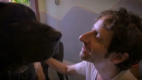 A slow motion handheld shot of a middle aged man talking to his big black Great Dane dog