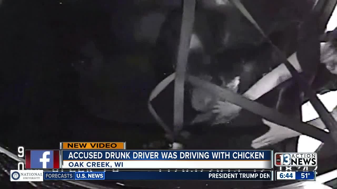 Accused drunk driver and chicken