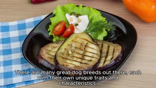 DOG BREEDS