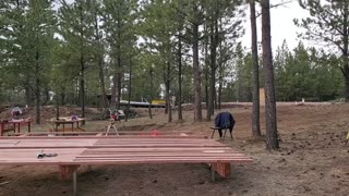 Building a bath house