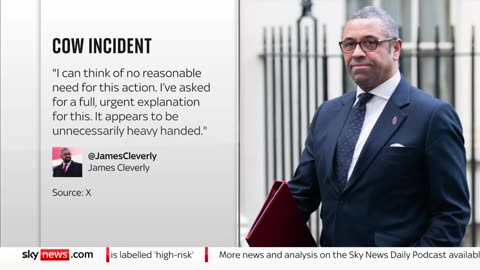 Home secretary calls for 'urgent explanation' as police ram into escaped cow Sky News
