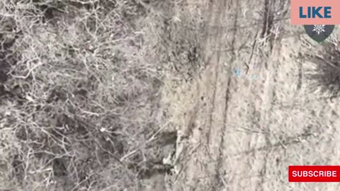 Shocking video from Ukraine:Brutal Video: Ukrainian Drones Decimate Many Russian Soldiers