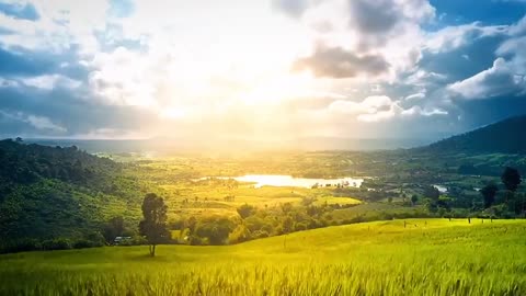 The blue sky and green grass