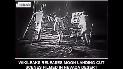 WikiLeaks Moonlanding