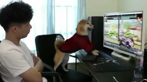 You'd never know your gaming mate could be a dog, even if it smashed the owner's keyboard