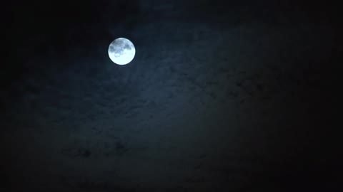 full | moon | raw 3