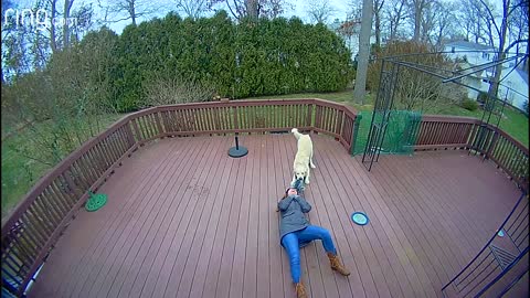 Dog Mistakes Furry Hood For a Toy & Drags Owner Around The Backyard | RingTV
