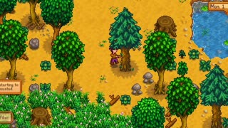 Stardew valley (introductions)