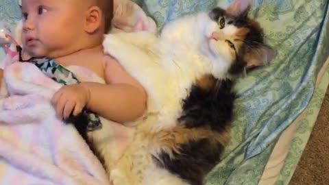 Cute kitten preciously cuddles with sweet baby