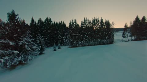Snow with sunset