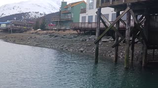 Loud neighbors in the Seward Harbor