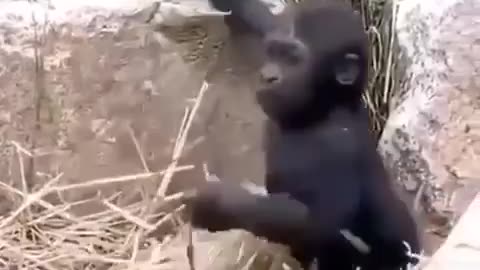 Funny monkey kid playing with himself