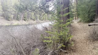 Arriving at Pioneer Ford Campground Area – Metolius River – Central Oregon – 4K