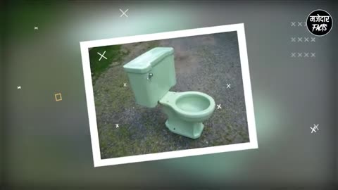 Toilet seat ka colour safed hi kyu hota hai fact video 📸