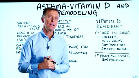 Asthma, Vitamin D and Remodeling of the Lung