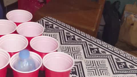 A satisfying bottle flip