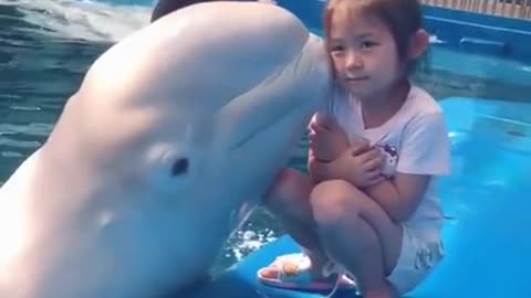 White whale and her poor trainer | Cute animals, Funny animal videos, Funny animals