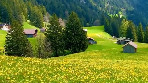 Beautiful Switzerland 🇨🇭🇨🇭 💗 1 Like & Follow please 🙏😊