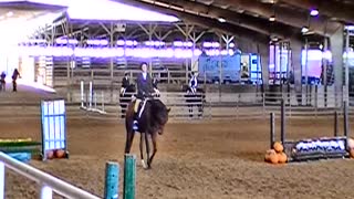 English Style Riding Competition Nov. 14, 2021 Emily on Whiskey Part 1