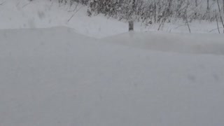 Time-Lapse of Massive Snowfall