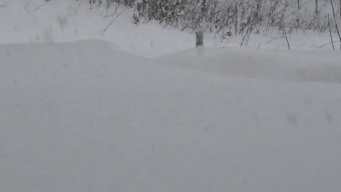 Time-Lapse of Massive Snowfall