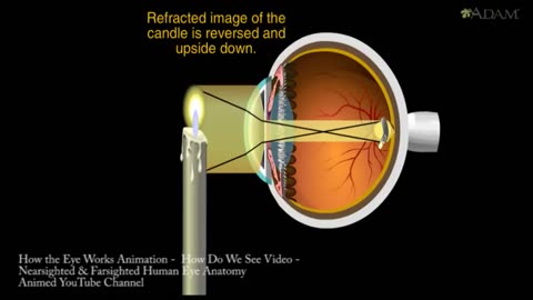 Why our eyes are the Windows to our Soul