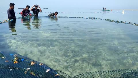 catching thousands of fish to feed a village