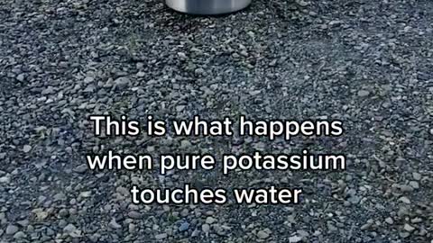 This is what happens when pure potassium touches water