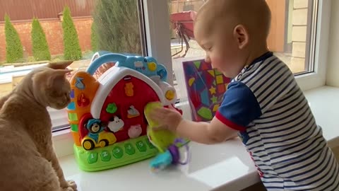 A Cute Baby Playing with His Toys and Cat