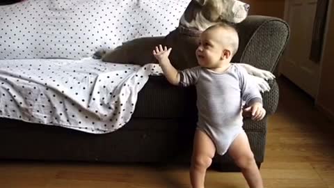Baby and pit bull share precious interaction