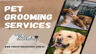 The Importance of Professional Pet Grooming:- The Pets Workshop