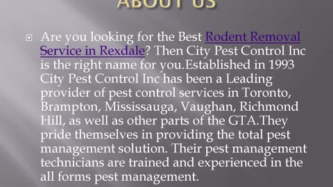 Best Rodent Removal Service in Rexdale