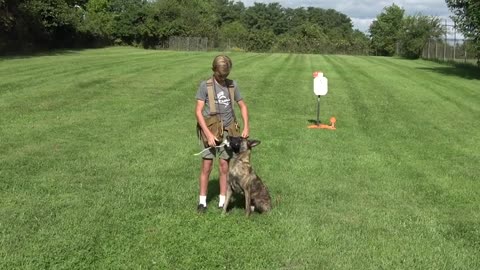 Teaching My Son To Train Protection Dogs Episode 1 | Malinois & Dutch Shepherd