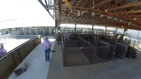 NACSW Elite Trial Montrose, CO: Livestock pens