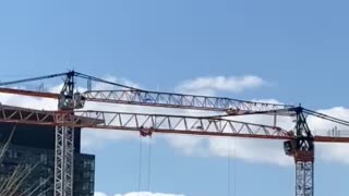 Tower Crane operational