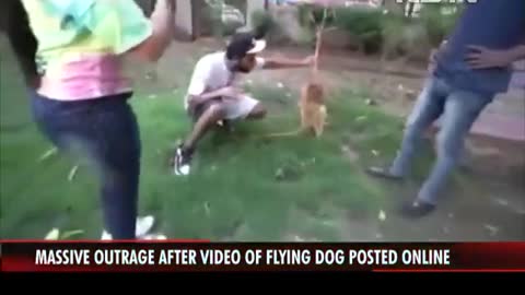 Man arrested for flying dog in hydrogen filled ballon