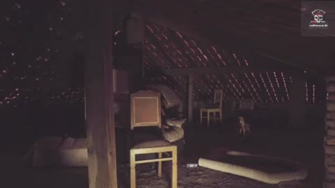 Attic ghost - paranormal activity caught on tape