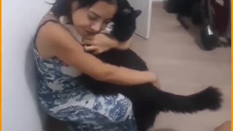 Cats Bonding With Their Owners