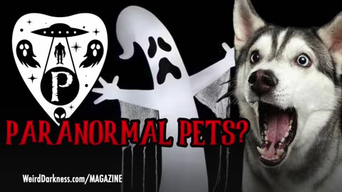 “PARANORMAL PETS” and 3 More Fortean Stories! #ParanormalityMag